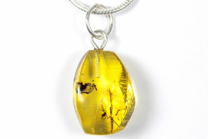 Polished Baltic Amber Pendant (Necklace) - Contains Moth Fly! #357940
